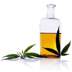 CBD Oil