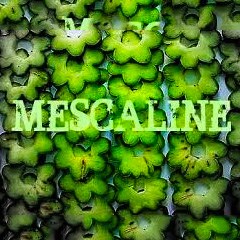 Mescaline/Peyote/San Pedro